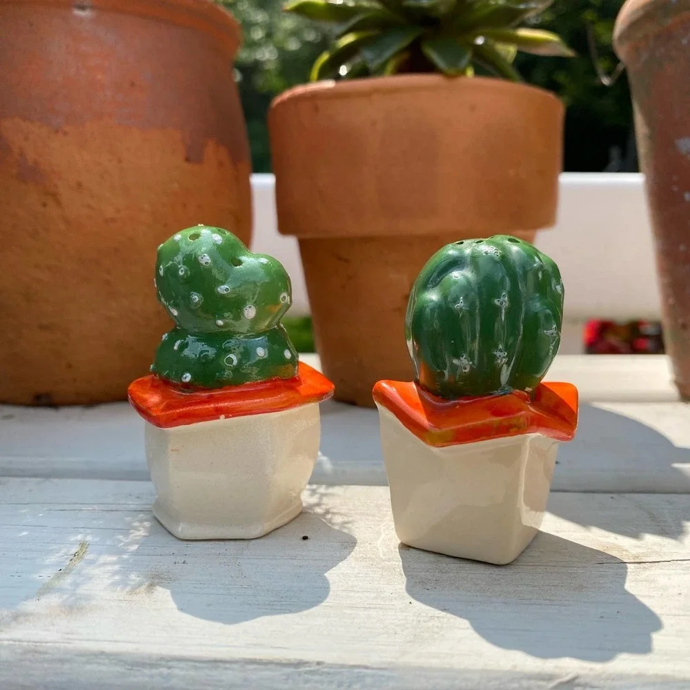 Vintage Cactus Salt & Pepper Shakers